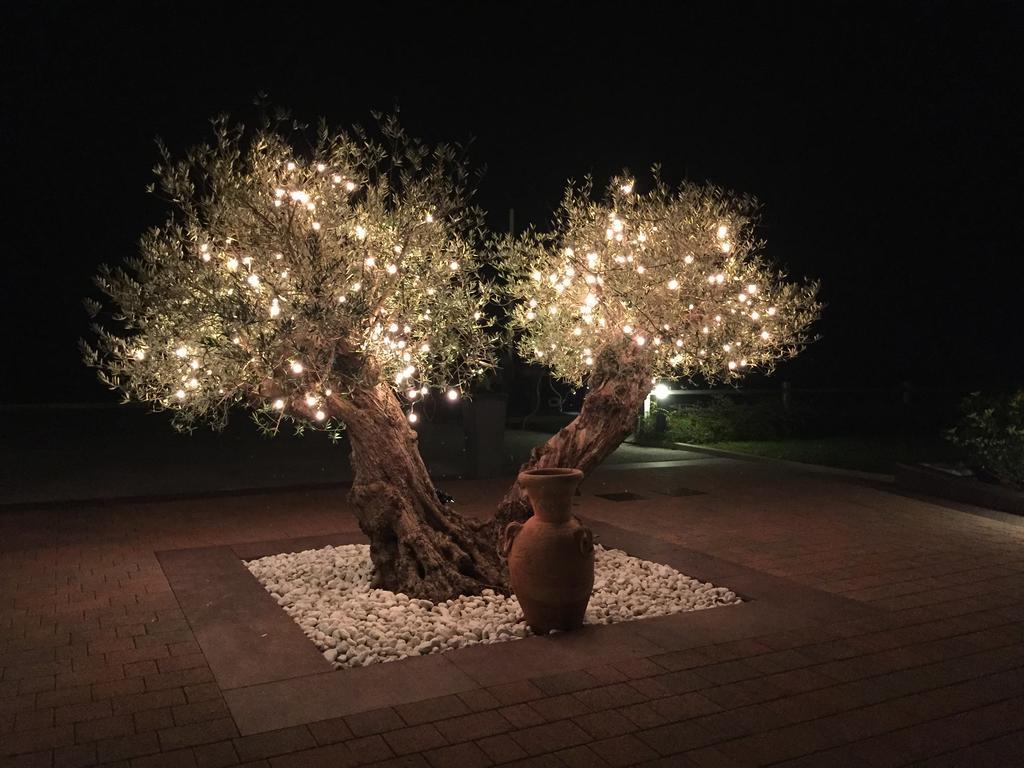 Agriturismo Podere Dell'Angelo Pasiano Di Pordenone Zewnętrze zdjęcie