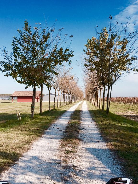 Agriturismo Podere Dell'Angelo Pasiano Di Pordenone Zewnętrze zdjęcie